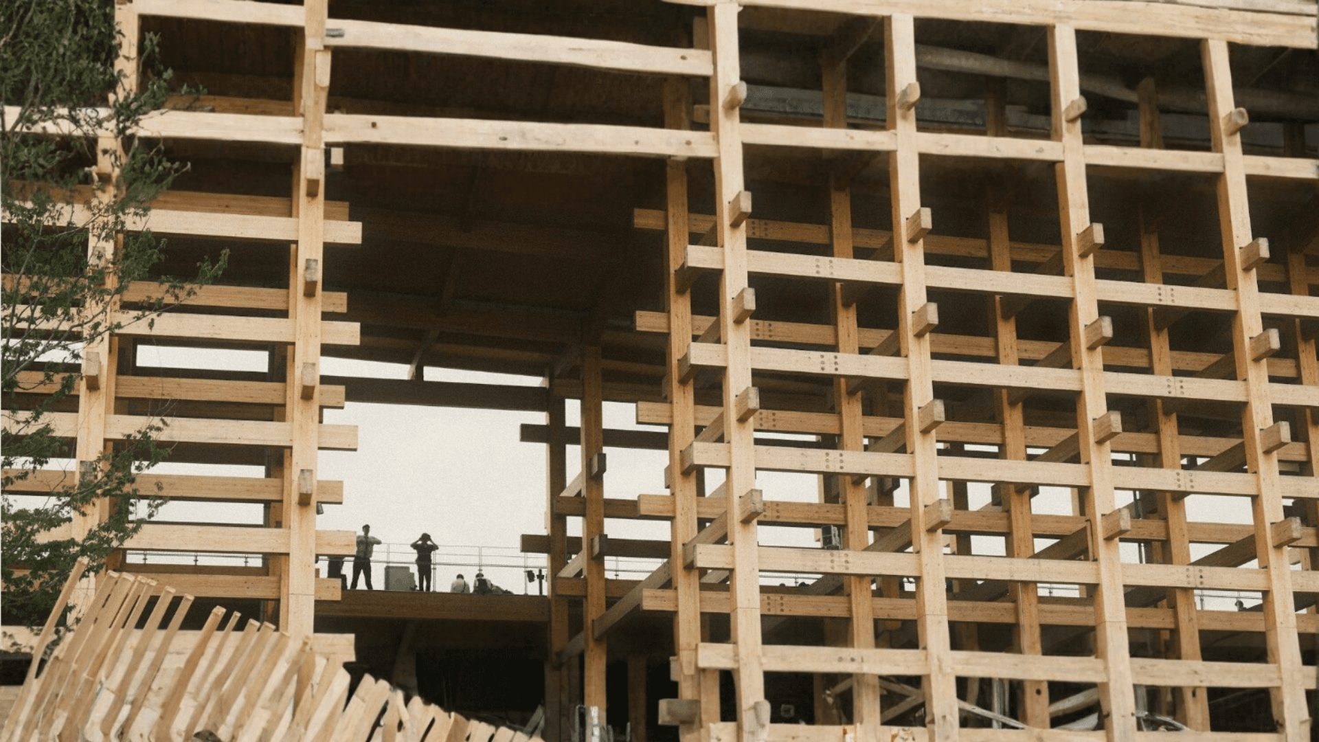 Professional timber services